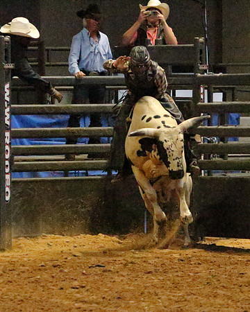 IMG_8669-cr