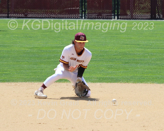 0047_IMG_3933c