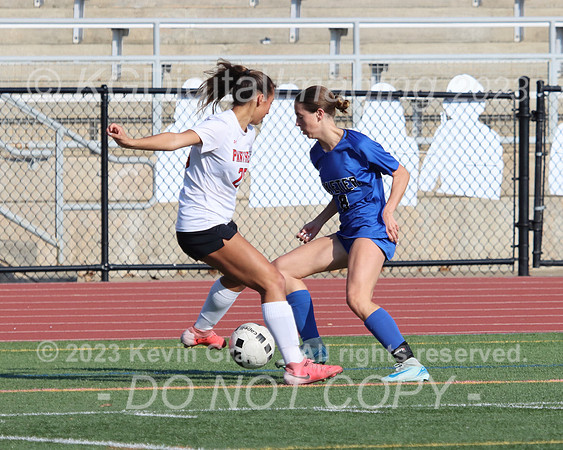 c1-IMG_4379cr