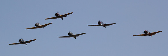 IMG_4154cr