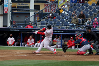 IMG_2739_cr