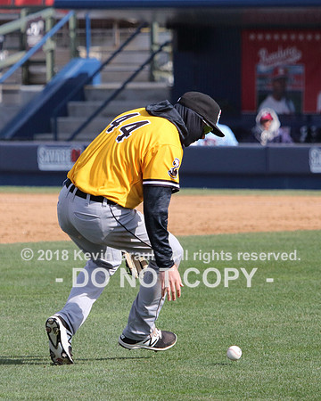 IMG_2581cr