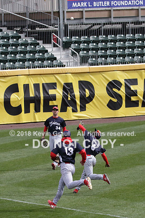 IMG_8132_cr