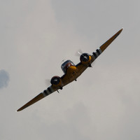 IMG_2546cr