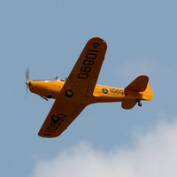 IMG_1373cr