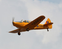 IMG_1411cr