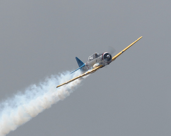 IMG_1602cr