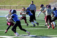 IMG_2824_cr