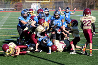 IMG_5965_cr