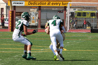 IMG_2387_cr