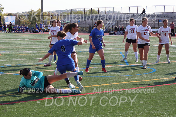c2-IMG_9233cr