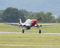 IMG_9951_cs