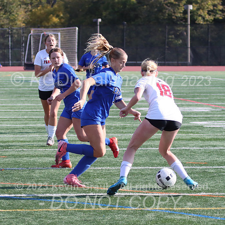 c1-IMG_4453cr