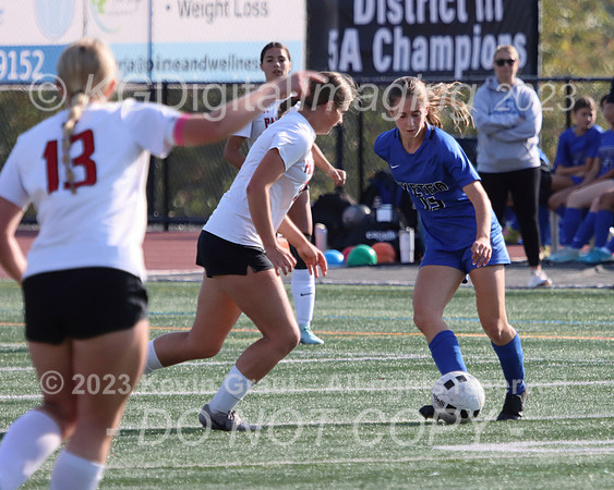 c1-IMG_4399cr