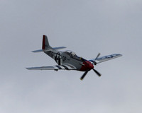 c1IMG_0110cr