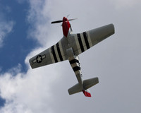 c1IMG_0063cr