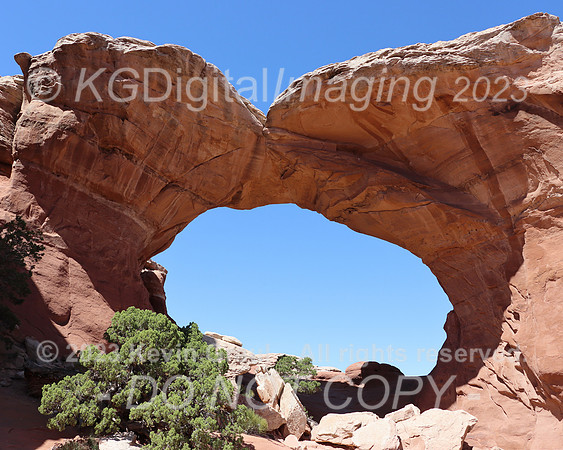 sIMG_1461c