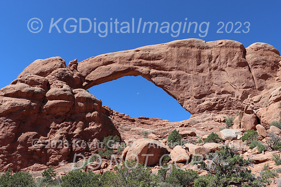 sIMG_1291c