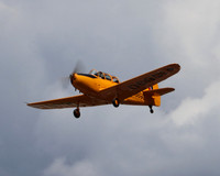 c1IMG_0312cr