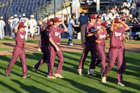 c2IMG_0019cr