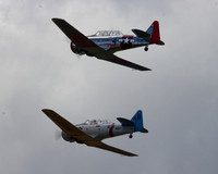 c1IMG_0339cr