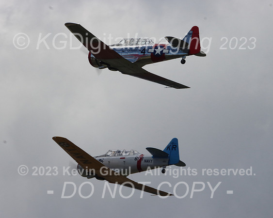 c1IMG_0339cr