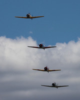 c1IMG_0407cr