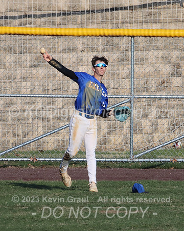 c1_IMG_1416cr