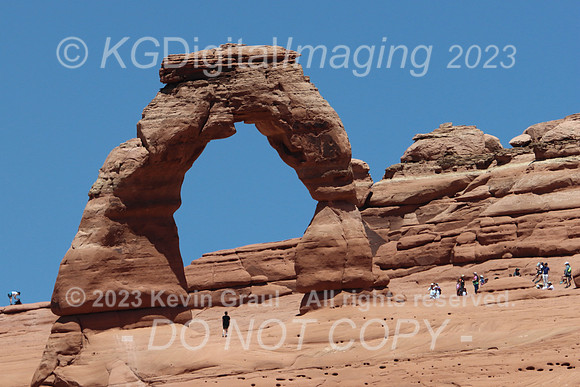 LIMG_4372c
