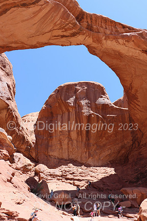 sIMG_1334c